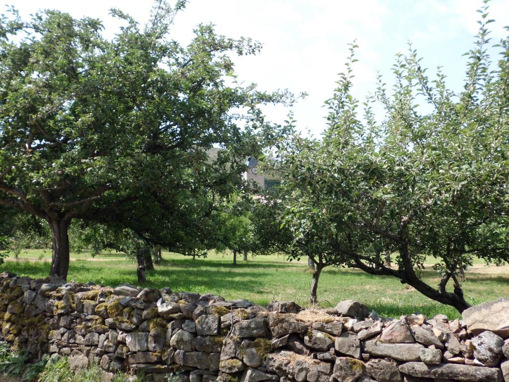 Casa Rural La Altanera Barniedo de la Reina Εξωτερικό φωτογραφία